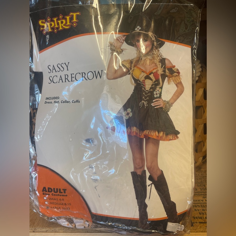 Women’s scarecrow costume